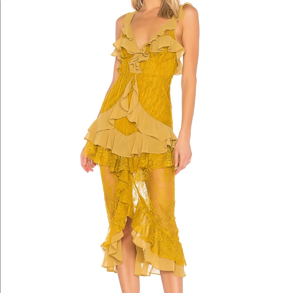 Gorgeous For Love and Lemons Silk Dress